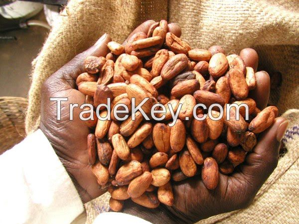 Cocoa powder, cocoa beans, arabica coffee beans, robusta coffee beans, 