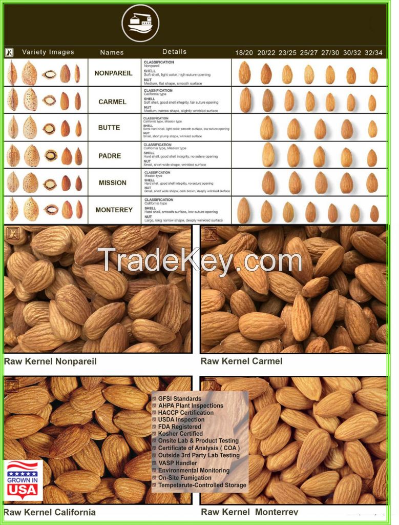 USA ORIGIN ALMONDS