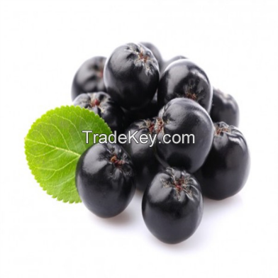 The best supplier Aronia Chokeberry Extract