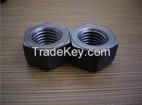 Hex Nuts