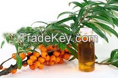 GMP Approved Natural and Pure Seabuckthorn Seed Oil