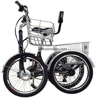 3 Wheel Bike with Motrorized Trike