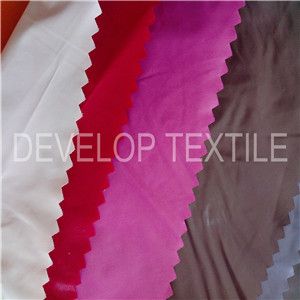 NYLON TAFFETA FABRIC/POLYAMIDE TAFFETA FABRIC WITH CIRE CALENDERING FINISH FOR GARMENT FABRIC