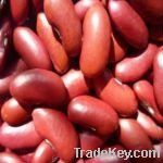 dark red kidney beans