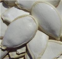 Snow White Pumpkin Seeds