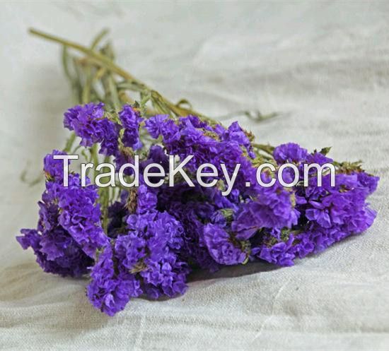 Preserved flower sea lavender forget me not