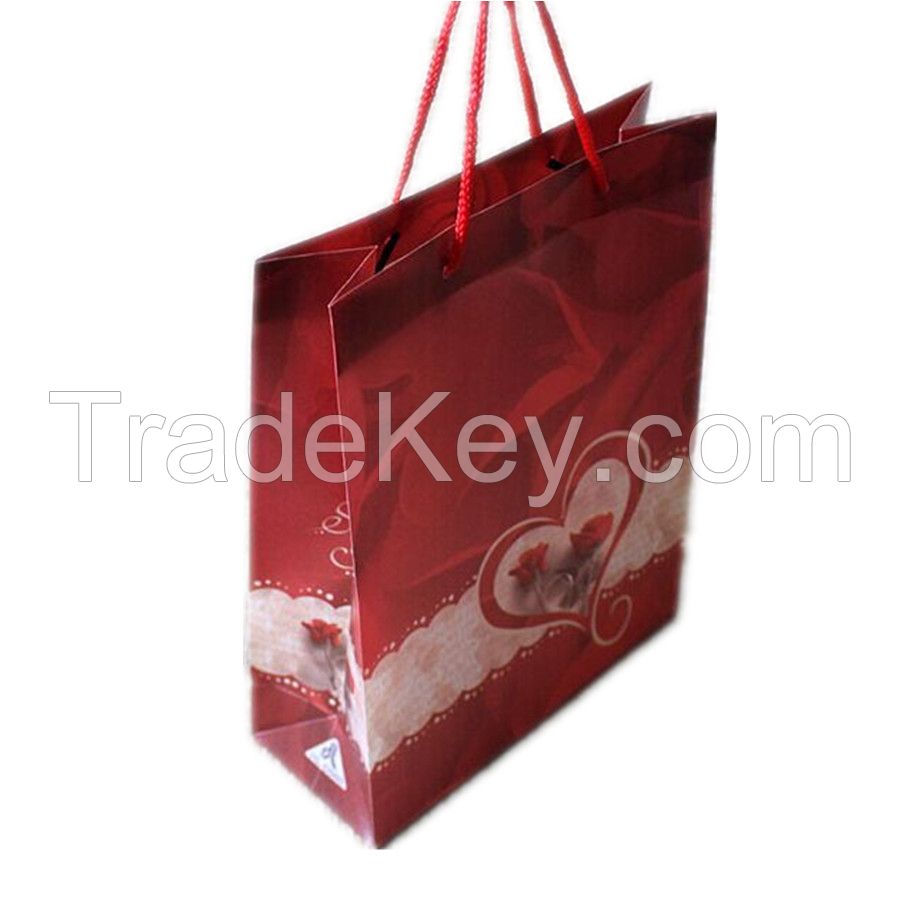 Printed Plastic Gift Bag For Shopping