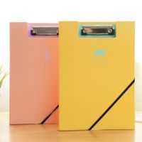 PP File Folder for A4 size papers for office / shcool