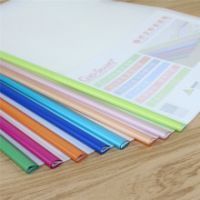 PP File Folder for A4 size papers for office / shcool