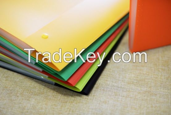 2017 Customized A4 PP Expanding File, 8 Enters Office File Folder