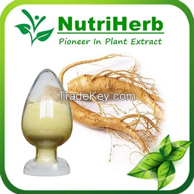 Natural Panax Ginseng Root Extract