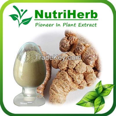 Natural Notoginseng Root Extract 80% Panax notoginsenosides