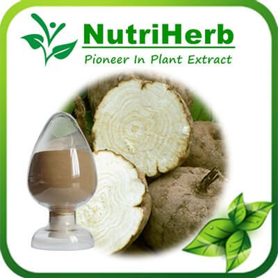 Pueraria Mirifica Extract Powder/Kudzu Root Powder 40%-98% Puerarin