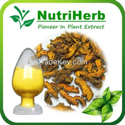 Natural Berberine Powder,Berberine HCL/Berberine Hydrochloride 98%