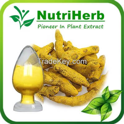 Natural Turmeric Root Extract 95% Curcumin