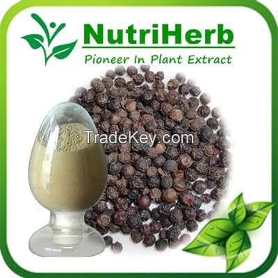 Natural Black Pepper Extract Powder 95% Piperine