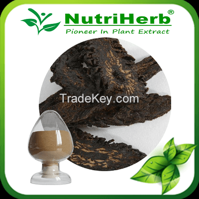 Cistanche Tubulosa Extract Powder 1%-17% Echinacoside