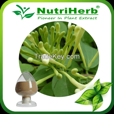 Honeysuckle Flower Extract/Honeysuckle Extract 10-90% Chlorogenic Acid