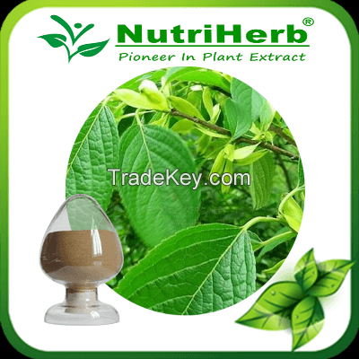 Natural Eucommia Leaf Extract Powder 5%-99% Chlorogenic Acid