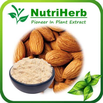 Natural Almond Milk Powder/Almond Powder/Almond Flour/Bitter Almond Powder