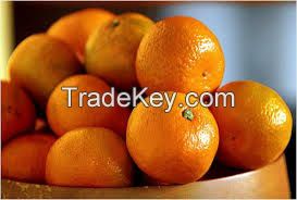 Kinnow Mandarin Oranges