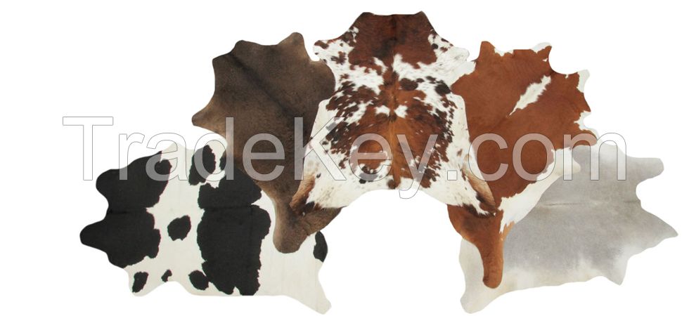 AA Grade Cowhides. Extra large to medium size