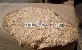 Wood Shaving, Wood Chips, Wood Saw Dust, Saw Dust Briquettes