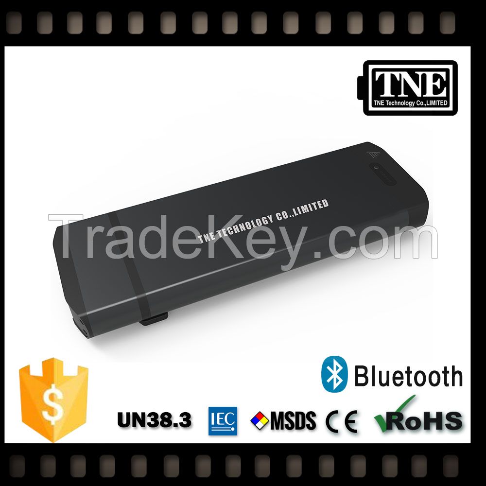 TNE customized 48V recharging battery packs