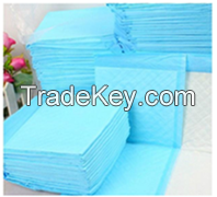 Disposable High Absorption Pet Pad