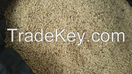 WHITE SESAME SEEDS