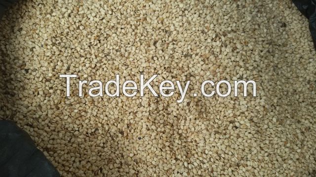 WHITE SESAME SEEDS