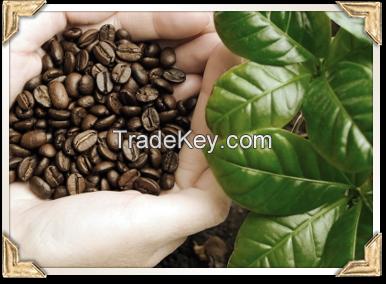 100% Arabica Bresilian Coffee