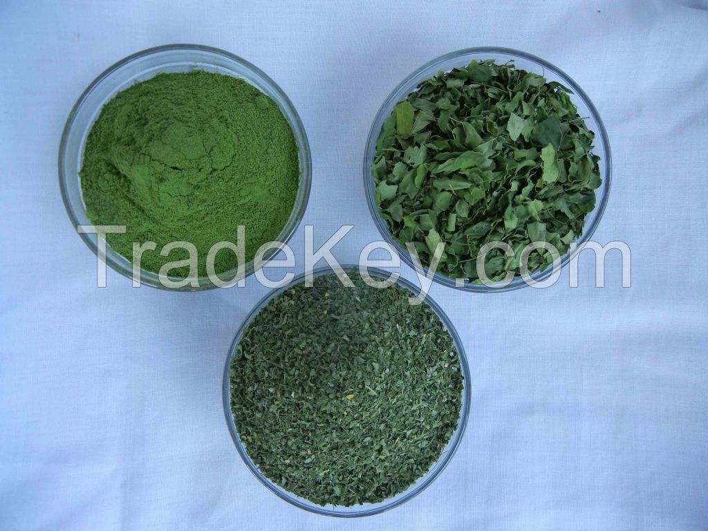 Organic moringa leaf powder