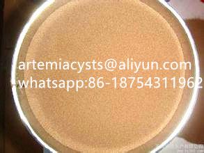 The Biggest Artemia Cysts Manufacturer