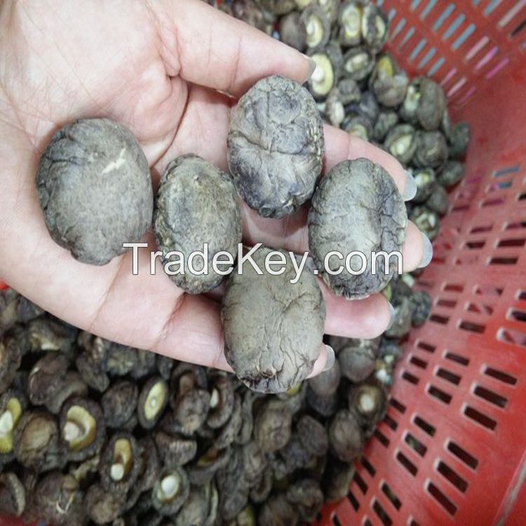3KGS Pack Brown Dried Smooth Shiitake Mushroom Whole with Cap 3-4CM