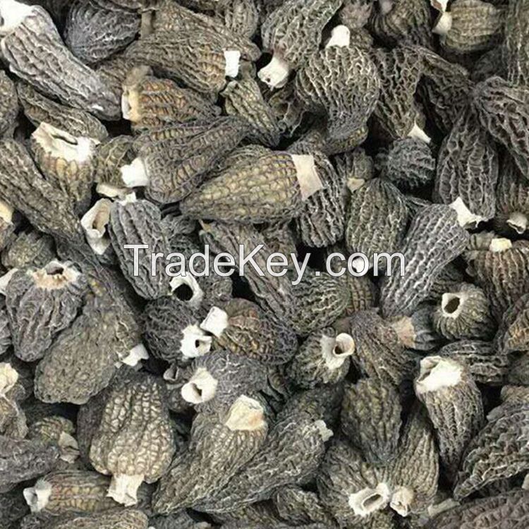 Dried Morel Mushroom 3-5 CM without Stem