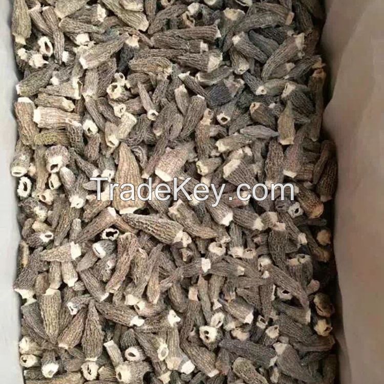 Dried Morel Mushroom 3-5 CM without Stem