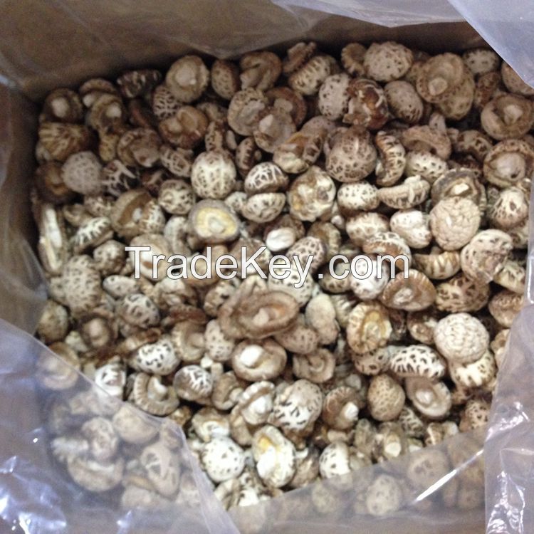 Bulk Dried White Flower Mushroom Whole with Cap 3-4 CM, Stem 1CM