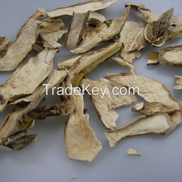 Dried Porcini Mushroom (Boletus Edulis) A Grade