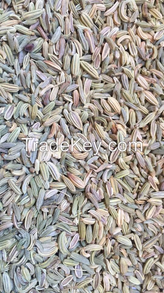 Fennel seed