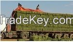 HIGH QUALITY UNRIVALLED BOMA RHODES HAY
