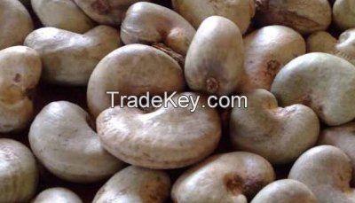 Raw Cashew Nut