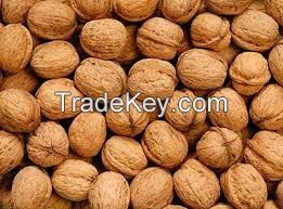 organic Walnuts from Ukraine