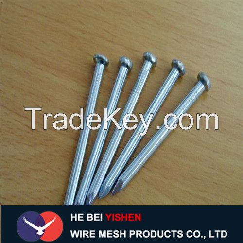Low price high quality galvanized concrete nails
