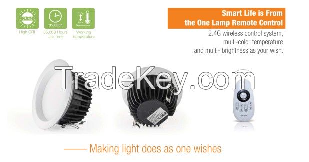 Dimmable LED Downlight