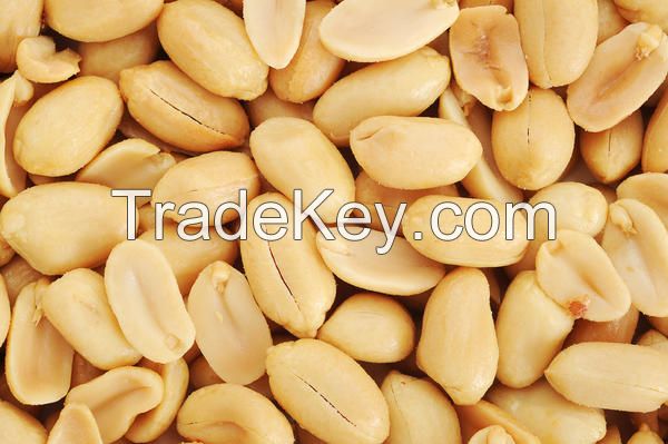 Peanuts Available For Sale And Export