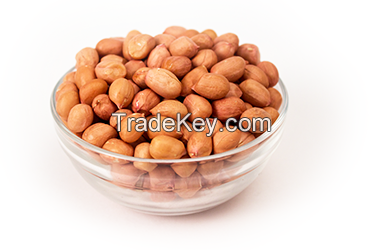 Spanish Peanuts For Sale And Export