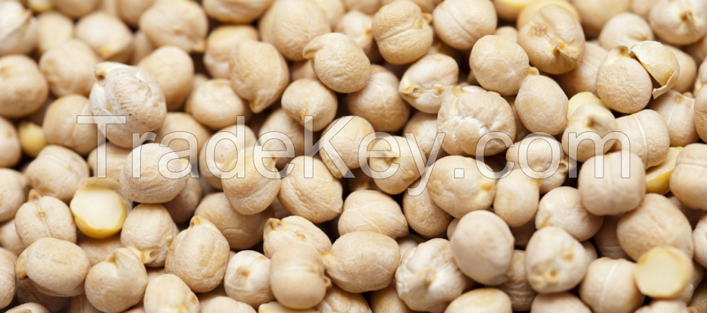 Chickpeas