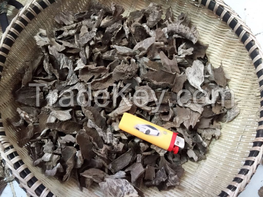 Agarwood chips