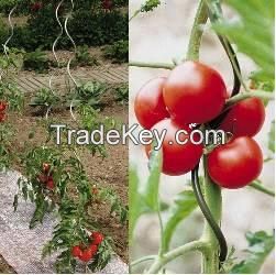 Shuxin Galvanized Tomato Spiral Wire 